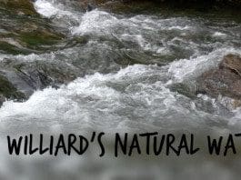 Dr. Willard’s – Improving Natural Water | NewsWatch Review Dr Willards Water