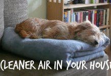 Air Angel – Sanify Both Air and Surfaces | NewsWatch Review