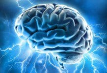 Neuroflexyn – Focus Naturally | NewsWatch Review neuroflexyn newswatch