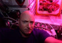 Astronauts Eat Space Lettuce – A First Space Lettuce