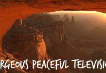 NatureVision – Beautifully Serene Television | NewsWatch Review