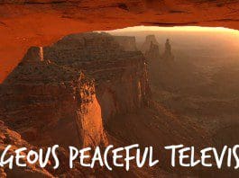 NatureVision – Beautifully Serene Television | NewsWatch Review