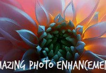 Pixelmator – Gorgeous Photo Enhancement | NewsWatch Review