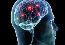 The Psychology Behind Product Design | NewsWatch Review