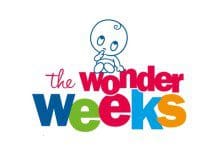 The Wonder Weeks – Baby Development Tracker | NewsWatch Review