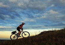 Top Summer Sporting Events You Won’t Want to Miss