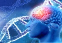 RE:mind – Enhancing Memory Through Science | NewsWatch Review