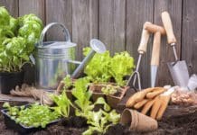 Food Production Transparency Is Expected in the Future