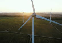 Solaxy – A Cost-Effective Global Solution to Climate Change