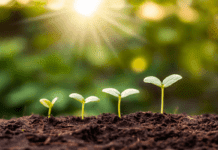 GreenTech Essentials: The Best Apps to Download for Earth Day and Beyond