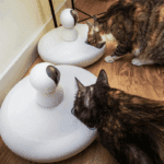 Pet Safe Smart Home Gadgets Every Pet Owner Needs Pet Safe Smart Home Gadgets for 2025