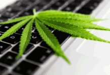 Legal Considerations for Buying Cannabis Online Buying cannabis online is convenient, but understanding local laws, age limits, and licensed sellers is essential for safe purchases.