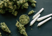 From Coffee Notes to Terpenes: Why Cannabis Is Now Discussed Like Craft Food and Wine