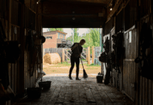 Choosing the Right Livestock Gates and Panels for Your Farm