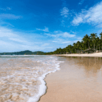 Cham Island Day Trips from Hoi An: Beaches, Snorkeling & Nature
