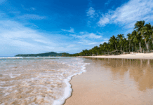 Cham Island Day Trips from Hoi An: Beaches, Snorkeling & Nature