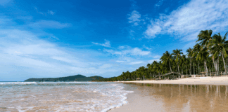 Cham Island Day Trips from Hoi An: Beaches, Snorkeling & Nature