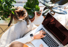 Unlocking the Potential of Freelancing with Osdire: The Ultimate Professional Platform freelance gigs work from home