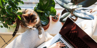 Unlocking the Potential of Freelancing with Osdire: The Ultimate Professional Platform freelance gigs work from home