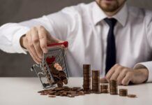 The Smart Saver’s Guide to the Highest APYs Available Now