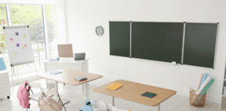 Effective Strategies for Differentiated Instruction in Early Elementary Classrooms