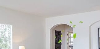 Why an Air Purifier is Essential for a Healthy Home air purifier