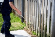 Seasonal Pest Control: Year-Round Strategies for a Pest-Free Home
