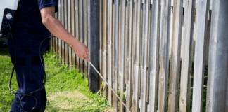 Seasonal Pest Control: Year-Round Strategies for a Pest-Free Home