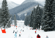 What Should You Look for When Choosing a Ski Accident Lawyer in Denver?