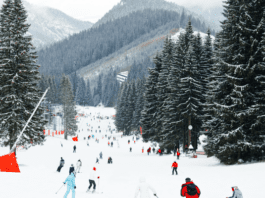 What Should You Look for When Choosing a Ski Accident Lawyer in Denver?
