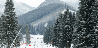What Should You Look for When Choosing a Ski Accident Lawyer in Denver?