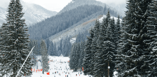 What Should You Look for When Choosing a Ski Accident Lawyer in Denver?