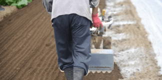 Tiller blades wear out slowly enough that nobody notices what it is costing them